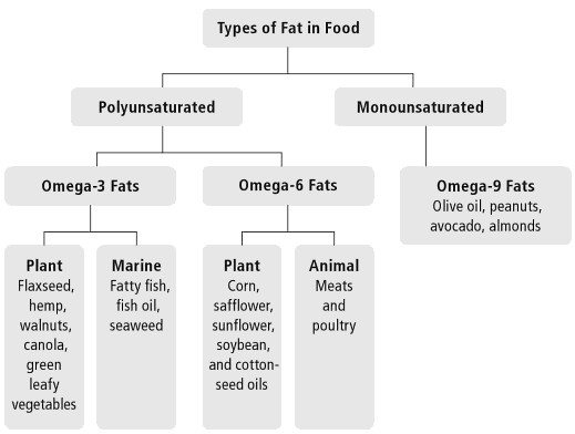 Type of Unsaturated Fats in Food